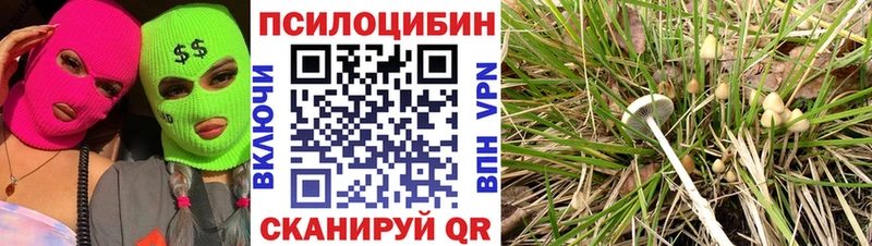Галлюциногенные грибы прущие грибы  Искитим 