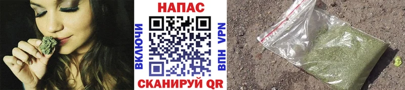 Канабис сатива Искитим